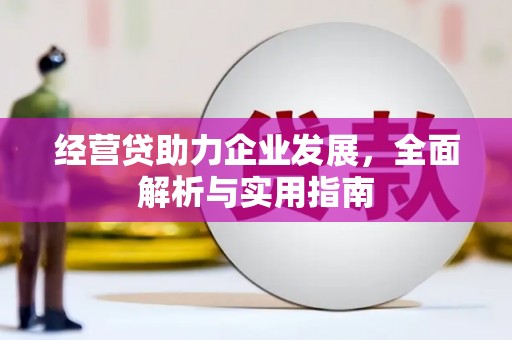 洪湖经营贷助力企业发展，全面解析与实用指南
