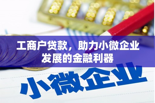 洪湖工商户贷款，助力小微企业发展的金融利器
