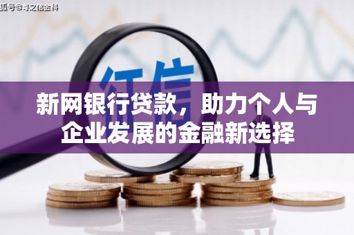 洪湖新网银行贷款，助力个人与企业发展的金融新选择