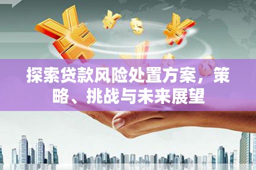 洪湖探索贷款风险处置方案，策略、挑战与未来展望