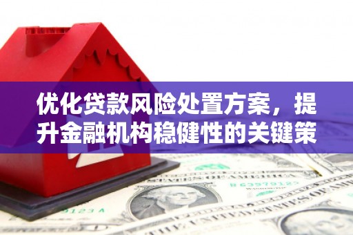 洪湖优化贷款风险处置方案，提升金融机构稳健性的关键策略