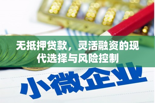 洪湖无抵押贷款，灵活融资的现代选择与风险控制