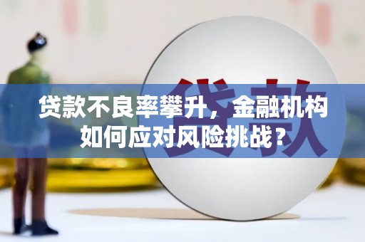 洪湖贷款不良率攀升，金融机构如何应对风险挑战？