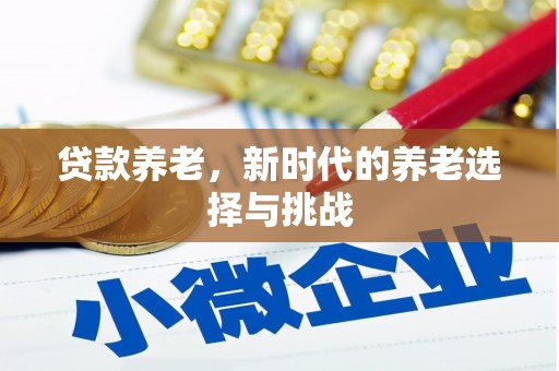 洪湖贷款养老，新时代的养老选择与挑战