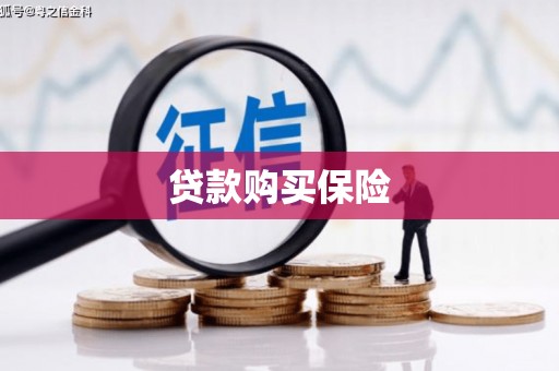洪湖贷款购买保险