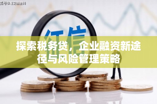 洪湖探索税务贷，企业融资新途径与风险管理策略