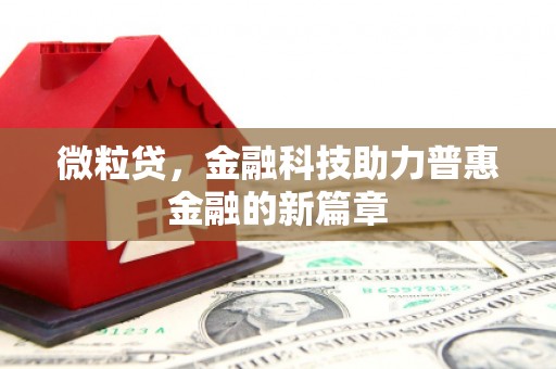 洪湖微粒贷，金融科技助力普惠金融的新篇章