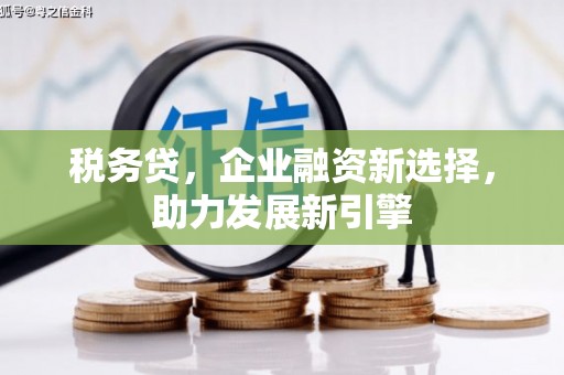 洪湖税务贷，企业融资新选择，助力发展新引擎