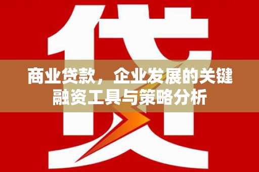 洪湖商业贷款，企业发展的关键融资工具与策略分析