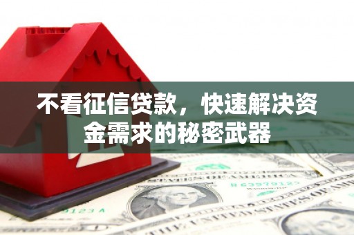 洪湖不看征信贷款，快速解决资金需求的秘密武器