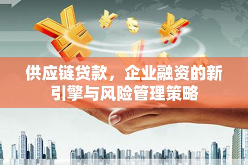 洪湖供应链贷款，企业融资的新引擎与风险管理策略