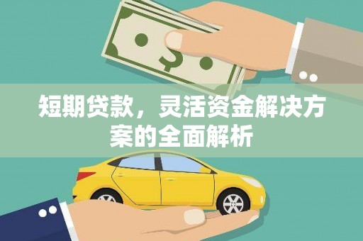 洪湖短期贷款，灵活资金解决方案的全面解析