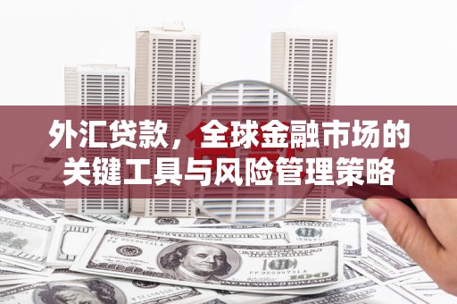 洪湖外汇贷款，全球金融市场的关键工具与风险管理策略