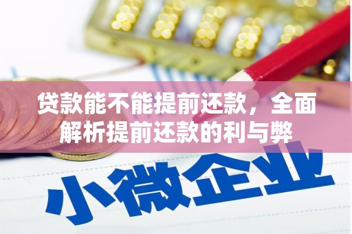 洪湖贷款能不能提前还款，全面解析提前还款的利与弊