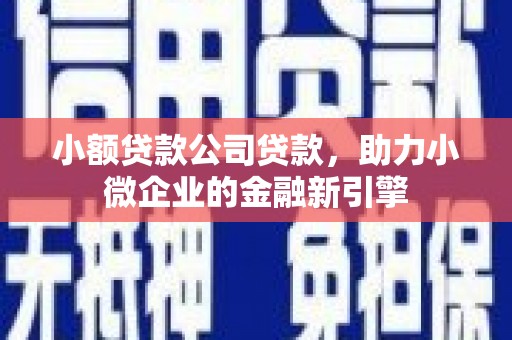 洪湖小额贷款公司贷款，助力小微企业的金融新引擎
