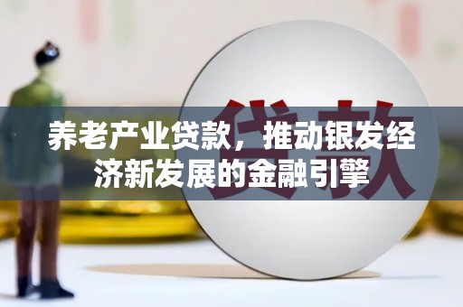 洪湖养老产业贷款，推动银发经济新发展的金融引擎