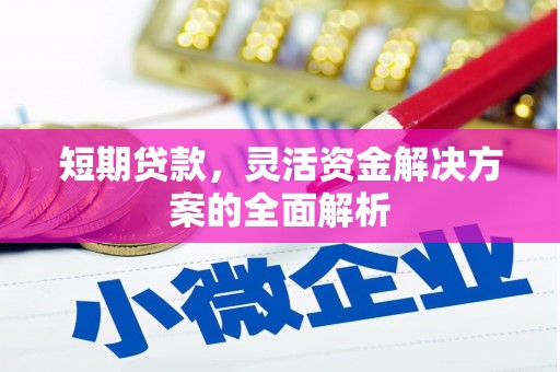 洪湖短期贷款，灵活资金解决方案的全面解析