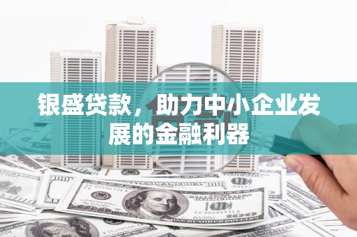 洪湖银盛贷款，助力中小企业发展的金融利器
