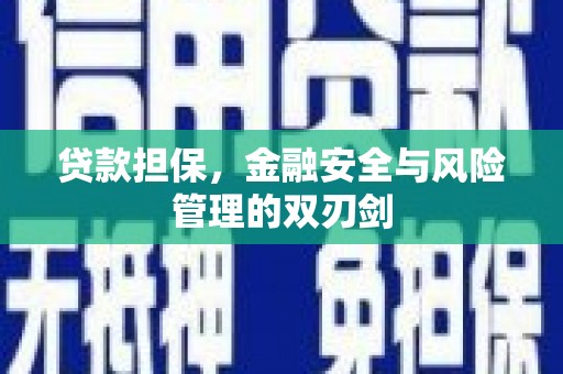 洪湖贷款担保，金融安全与风险管理的双刃剑