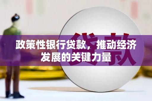 洪湖政策性银行贷款，推动经济发展的关键力量