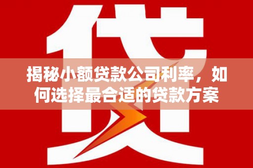 洪湖揭秘小额贷款公司利率，如何选择最合适的贷款方案