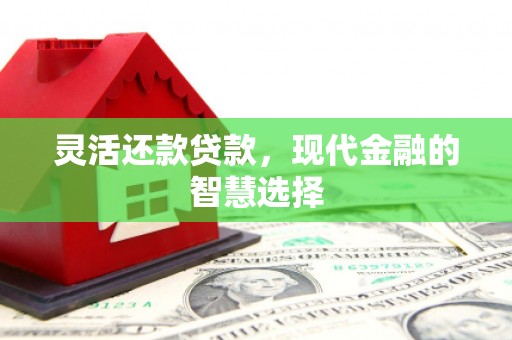 洪湖灵活还款贷款，现代金融的智慧选择