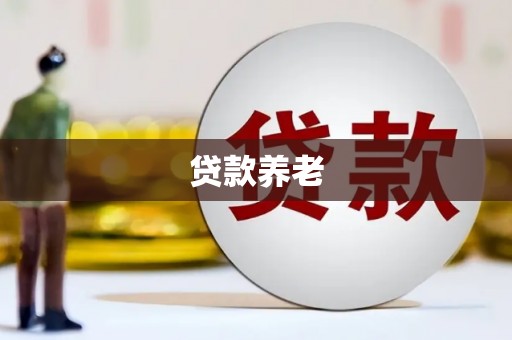 洪湖贷款养老