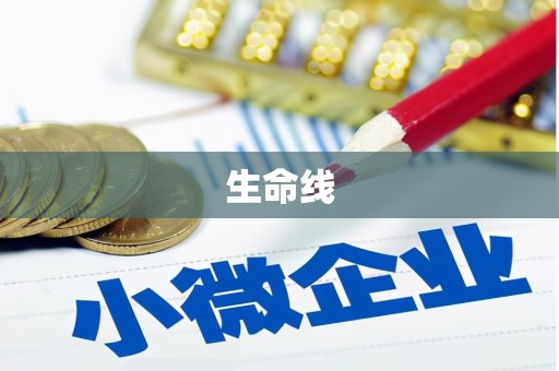 洪湖生命线