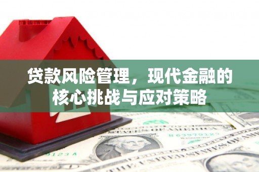 洪湖贷款风险管理，现代金融的核心挑战与应对策略