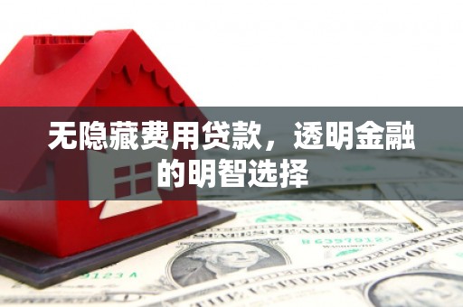 洪湖无隐藏费用贷款，透明金融的明智选择