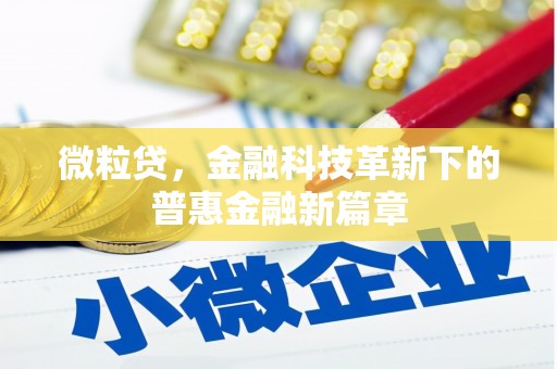 洪湖微粒贷，金融科技革新下的普惠金融新篇章