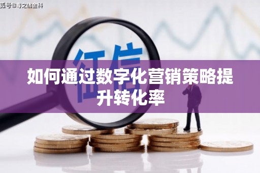 洪湖如何通过数字化营销策略提升转化率