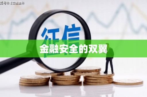 洪湖金融安全的双翼