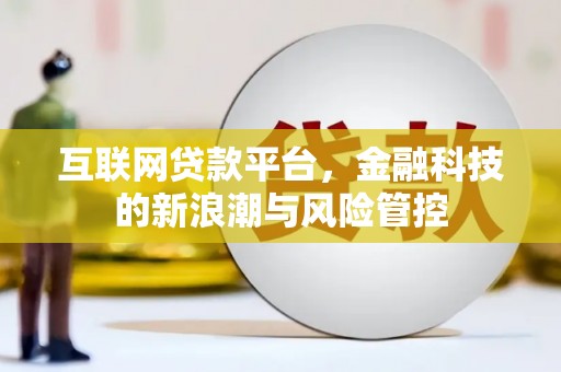 洪湖互联网贷款平台，金融科技的新浪潮与风险管控