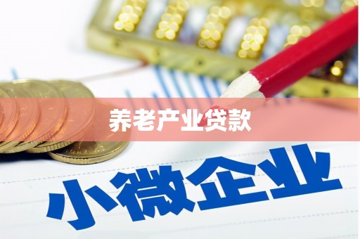 洪湖养老产业贷款