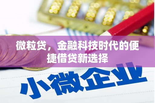 洪湖微粒贷，金融科技时代的便捷借贷新选择