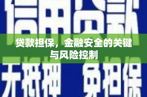 洪湖贷款担保，金融安全的关键与风险控制