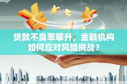 洪湖贷款不良率攀升，金融机构如何应对风险挑战？
