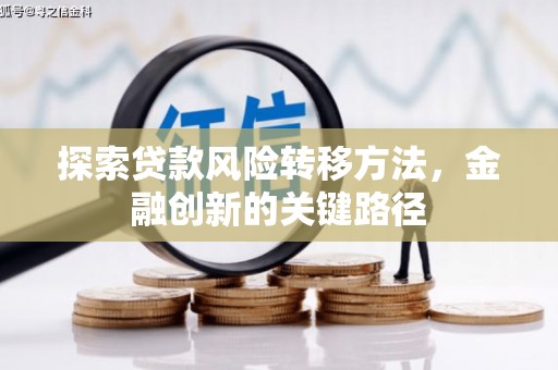 洪湖探索贷款风险转移方法，金融创新的关键路径