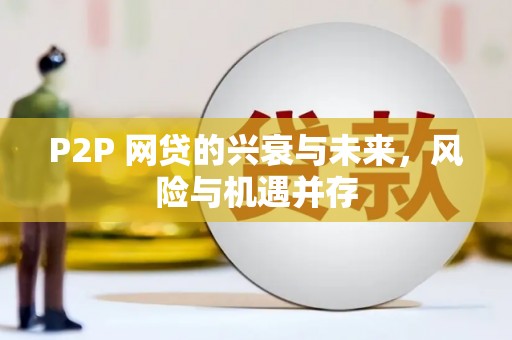 洪湖P2P 网贷的兴衰与未来，风险与机遇并存