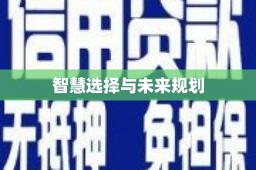 洪湖智慧选择与未来规划