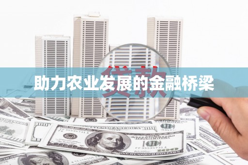 洪湖助力农业发展的金融桥梁